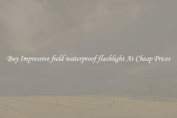 Buy Impressive field waterproof flashlight At Cheap Prices