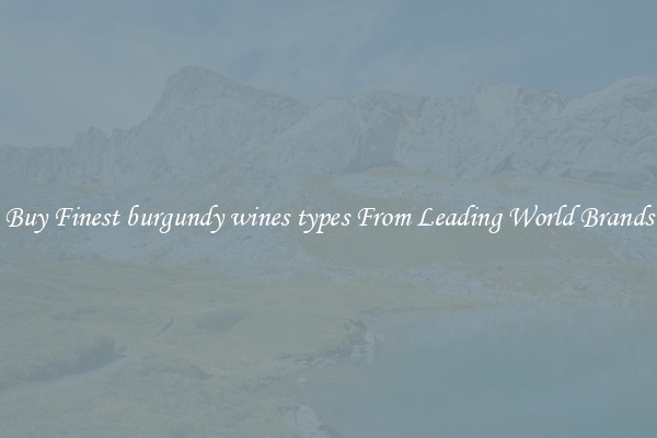 Buy Finest burgundy wines types From Leading World Brands