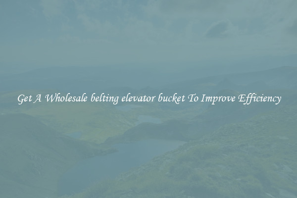 Get A Wholesale belting elevator bucket To Improve Efficiency