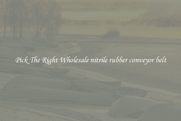 Pick The Right Wholesale nitrile rubber conveyor belt