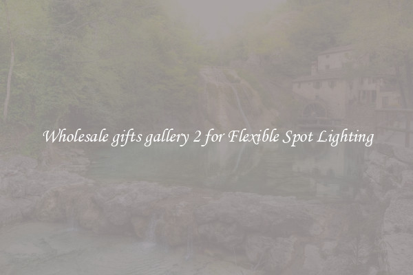 Wholesale gifts gallery 2 for Flexible Spot Lighting