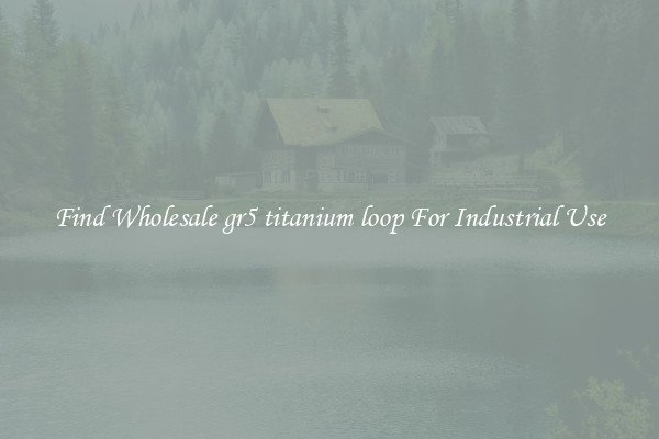 Find Wholesale gr5 titanium loop For Industrial Use