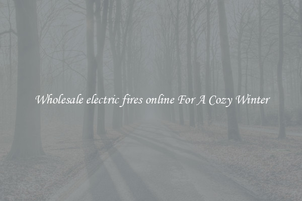 Wholesale electric fires online For A Cozy Winter