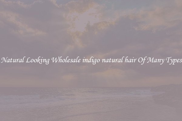 Natural Looking Wholesale indigo natural hair Of Many Types