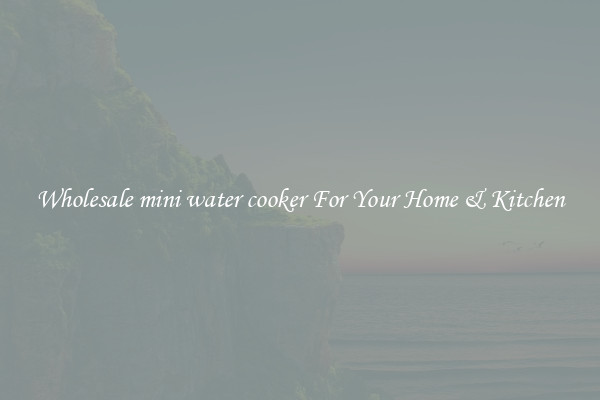 Wholesale mini water cooker For Your Home & Kitchen