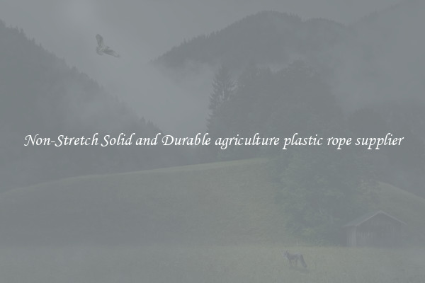Non-Stretch Solid and Durable agriculture plastic rope supplier