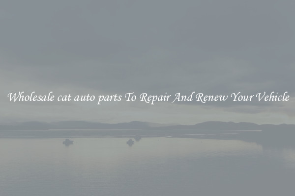 Wholesale cat auto parts To Repair And Renew Your Vehicle