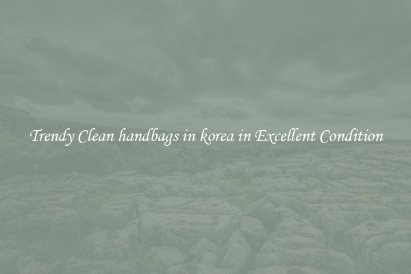 Trendy Clean handbags in korea in Excellent Condition