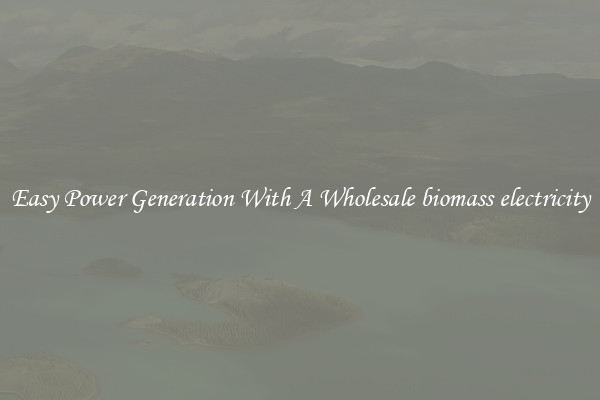 Easy Power Generation With A Wholesale biomass electricity