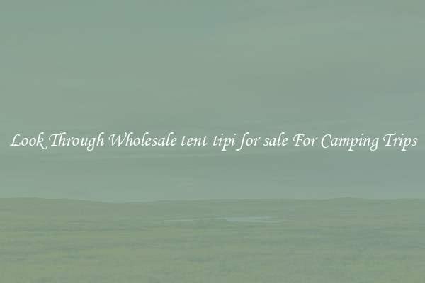 Look Through Wholesale tent tipi for sale For Camping Trips