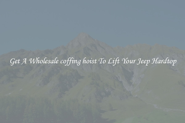 Get A Wholesale coffing hoist To Lift Your Jeep Hardtop