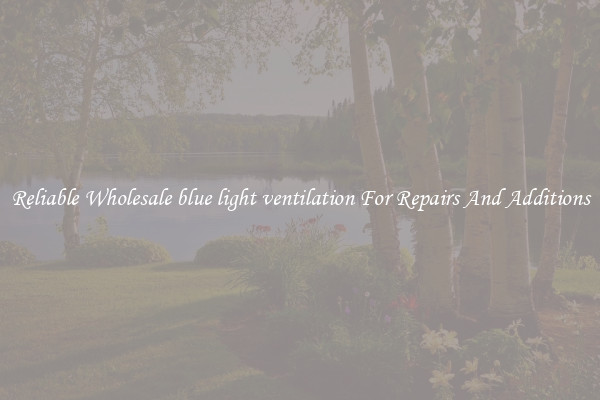 Reliable Wholesale blue light ventilation For Repairs And Additions