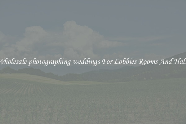 Wholesale photographing weddings For Lobbies Rooms And Halls