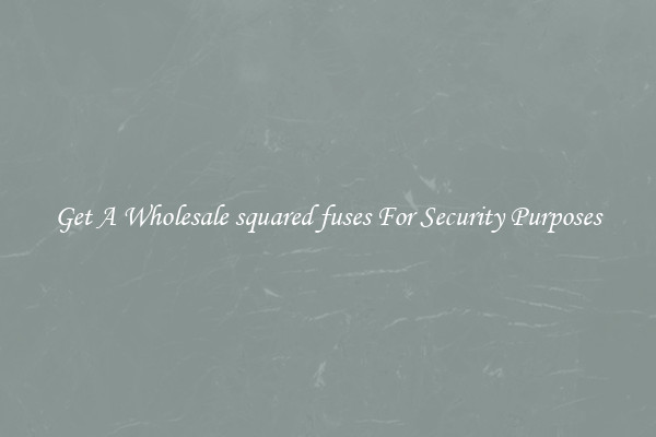 Get A Wholesale squared fuses For Security Purposes