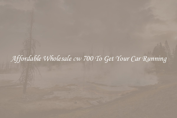 Affordable Wholesale cw 700 To Get Your Car Running