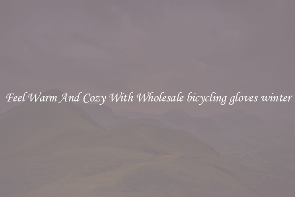 Feel Warm And Cozy With Wholesale bicycling gloves winter