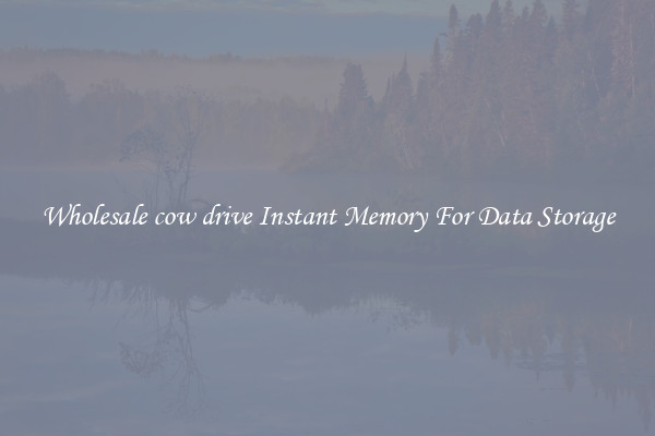 Wholesale cow drive Instant Memory For Data Storage