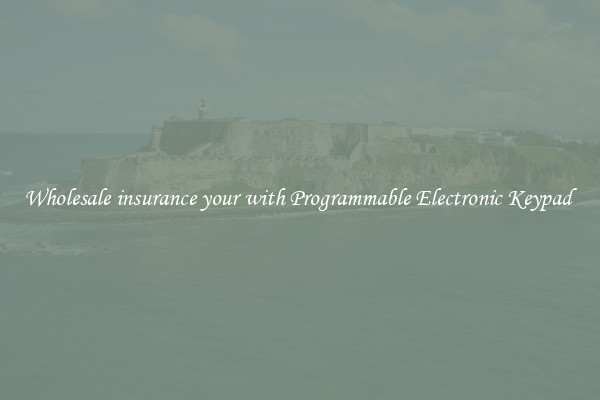 Wholesale insurance your with Programmable Electronic Keypad 